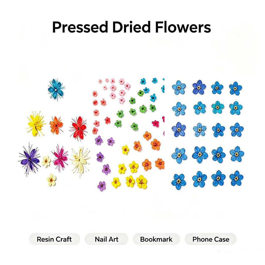 60pcs Mini Pressed Dried Flowe - Resin Art Baby 评论和价格